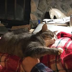 Meet your Posher, Linda